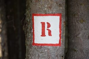 O Que Você Precisa Saber Sobre a RDC 2222018 e Como Alcançar a Conformidade nas Instituições