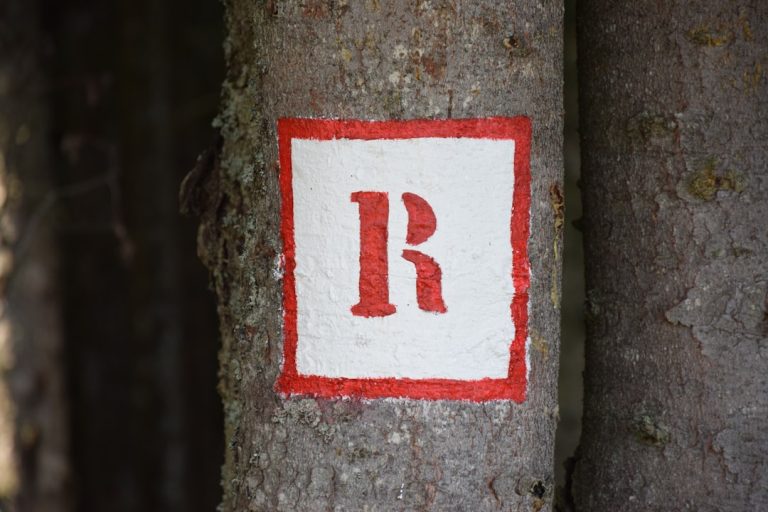 O Que Você Precisa Saber Sobre a RDC 2222018 e Como Alcançar a Conformidade nas Instituições