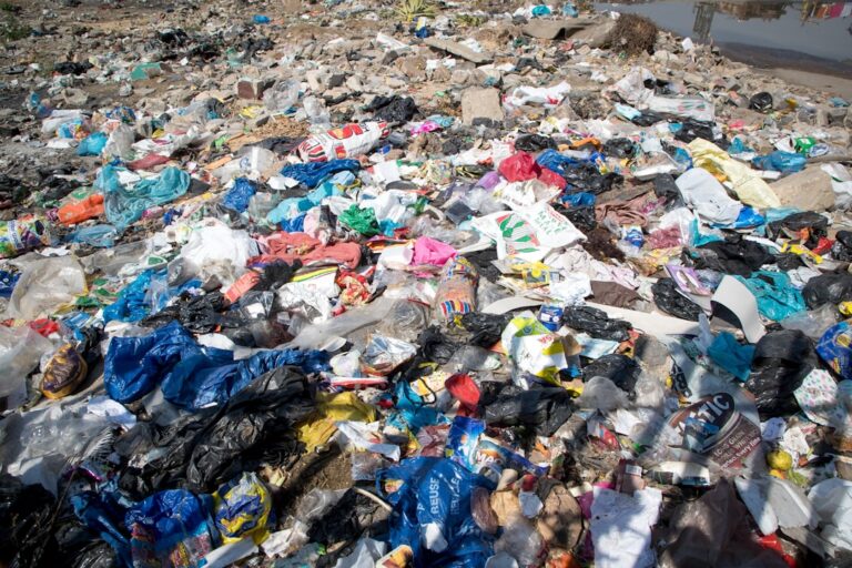 Efeitos da Gestão Inadequada de Resíduos de Saúde sobre a Saúde Pública e o Meio Ambiente